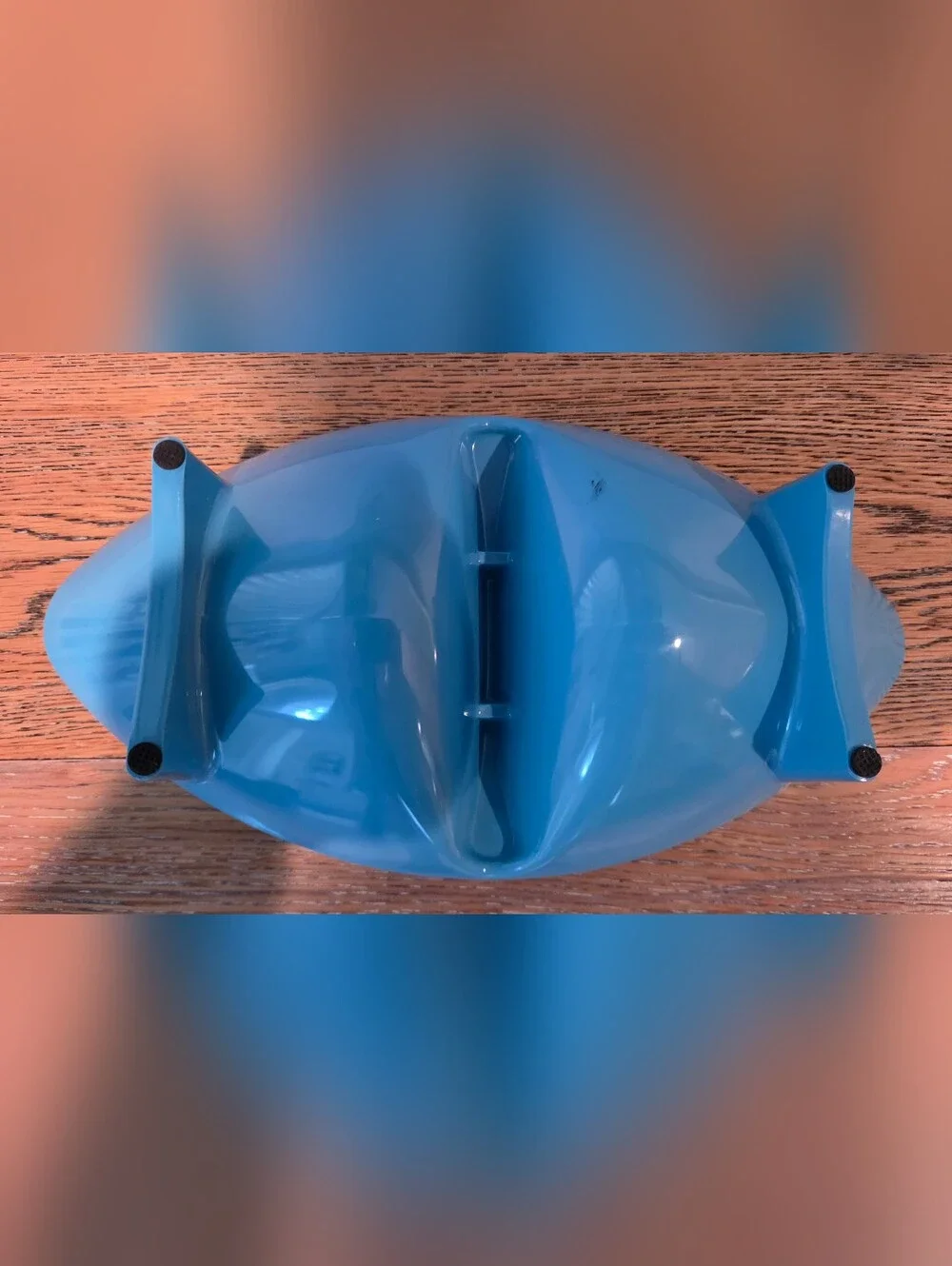 Pets - Divided Feeding Bowl (12